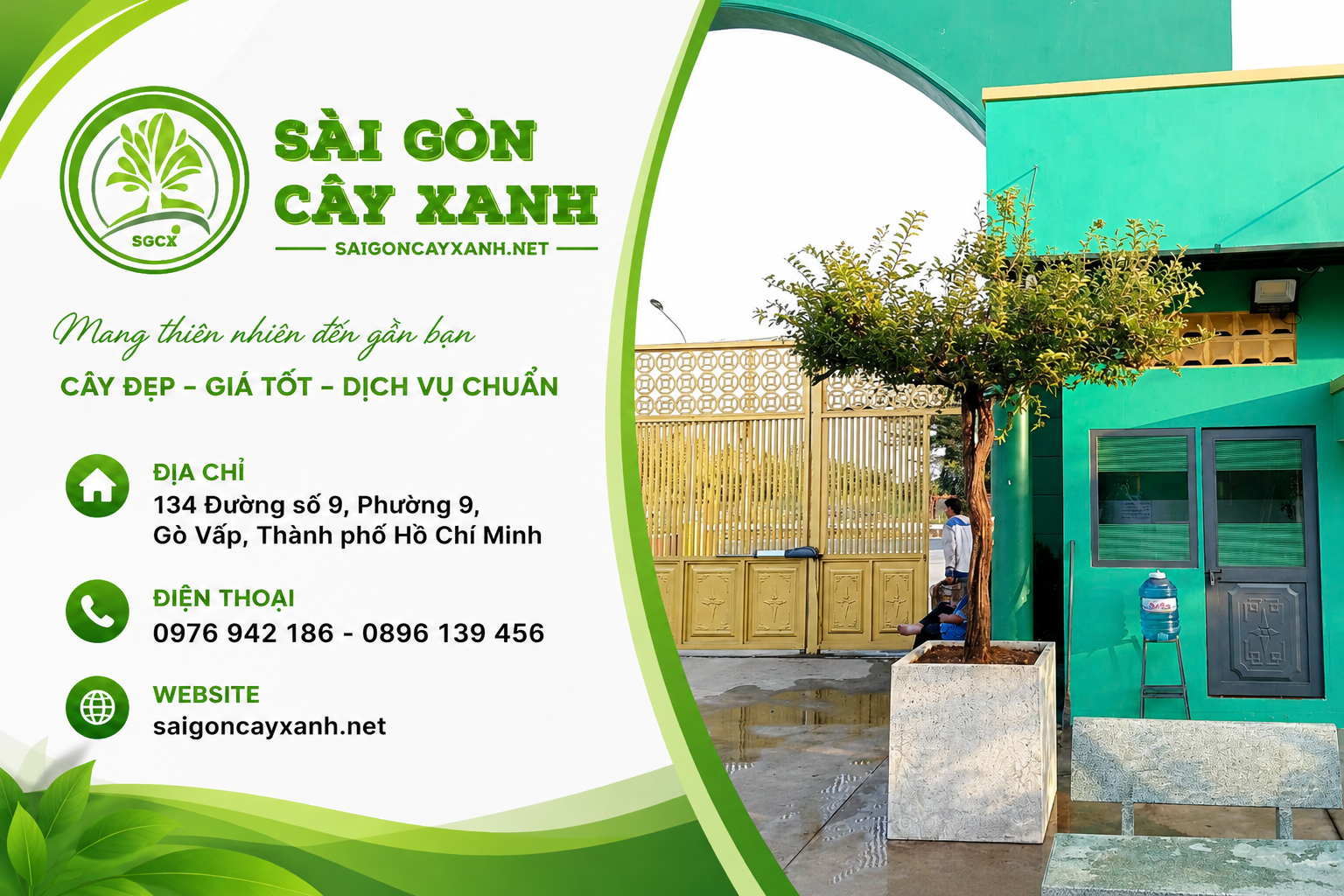 cây sơ ri bóng mát