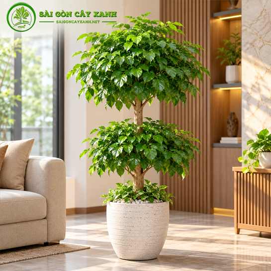 Cây Hạnh Phúc 2 Tầng